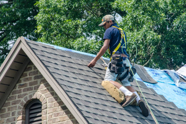 Best New Roof Installation  in Silver Ridge, NJ